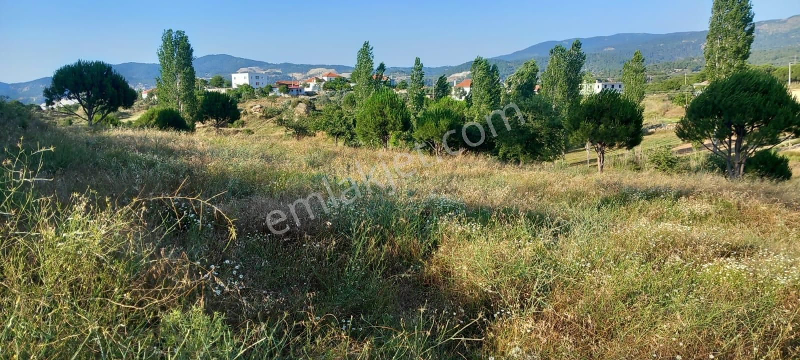 Ege'de Köy Hayali Kurana: İmarlı, Ev Yapılabilir 6.429 M² Tarla - Görsel 10