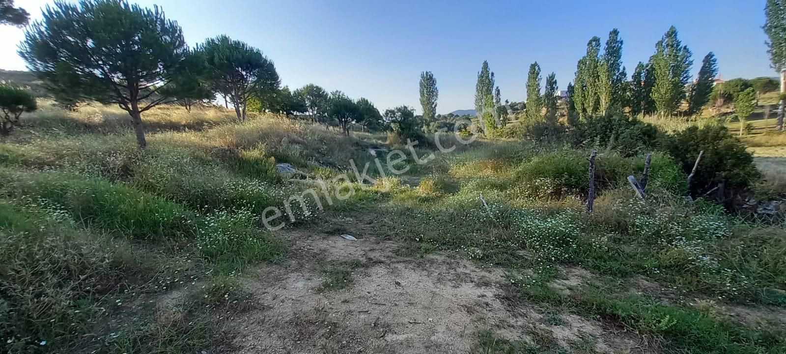 Ege'de Köy Hayali Kurana: İmarlı, Ev Yapılabilir 6.429 M² Tarla - Görsel 6