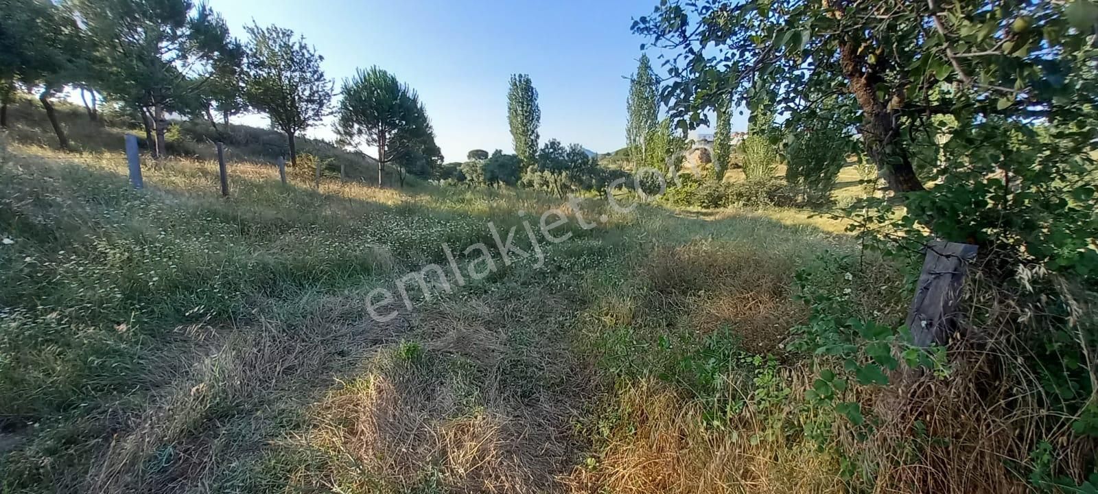 Ege'de Köy Hayali Kurana: İmarlı, Ev Yapılabilir 6.429 M² Tarla - Görsel 17