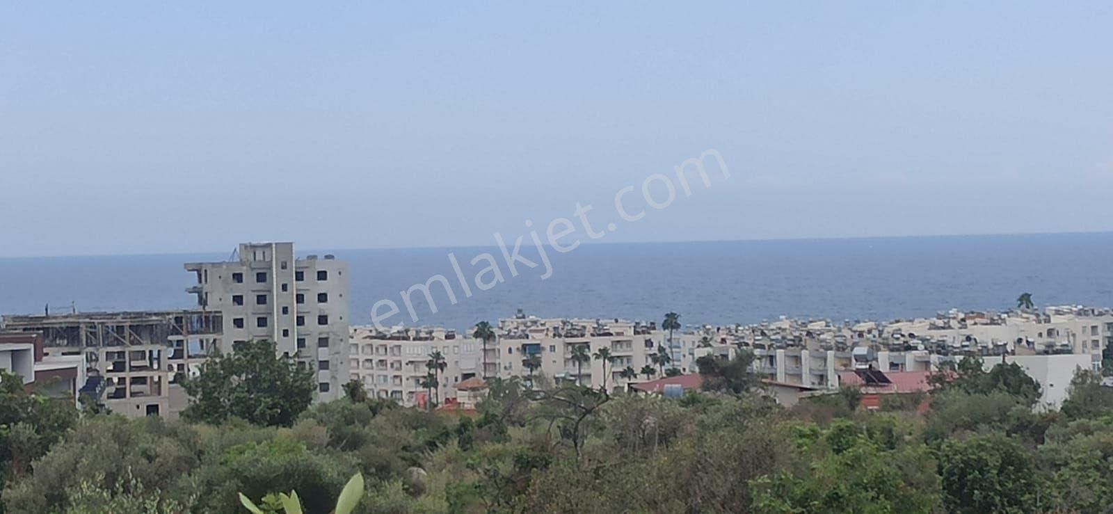 Mezitli Tece 500 M2 Satılık Limon Bahçesi