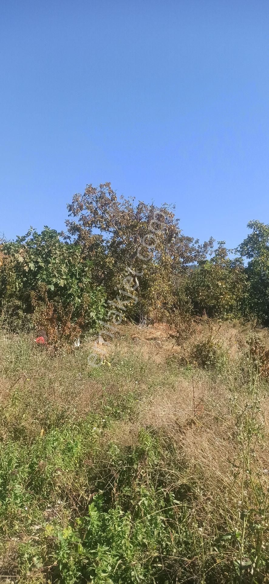 Mezitli Kocayer Köyü Yerleşim Yeri İçinde 2085m2 Bahçe