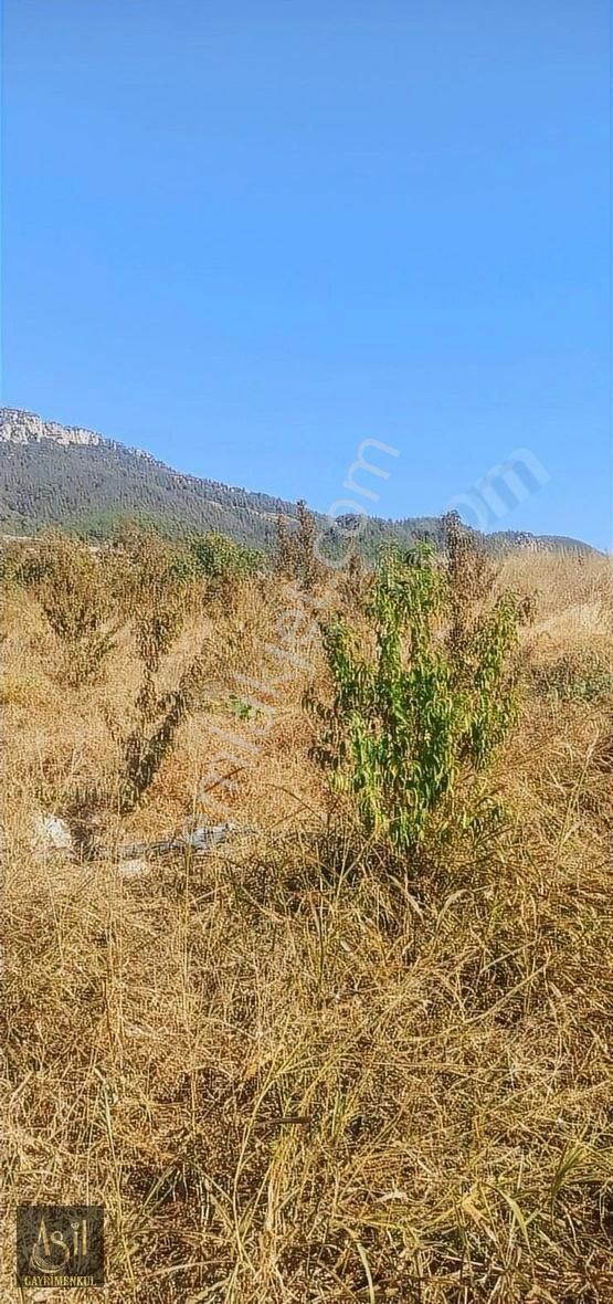 Takanlı Köyü Satılık 1755m2 Arazi Açıklamayı Okuyun