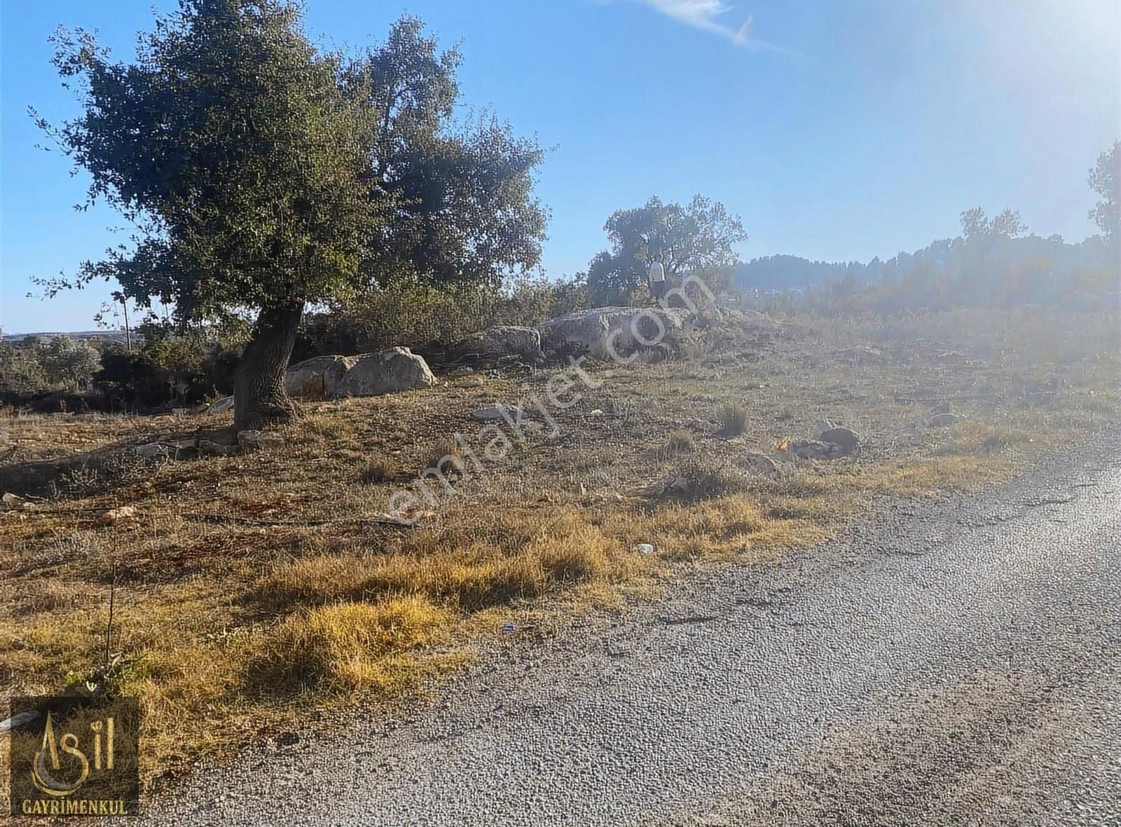 Mezitli Akarca Köyünde Tavuk Çifliğine Uygun Arazi 8000 M2