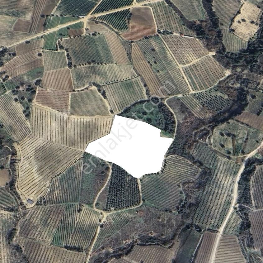 Ulaş Mahallesinde Tarsus Ck Emlak'tan 15.638 M2 Satılık Bağ