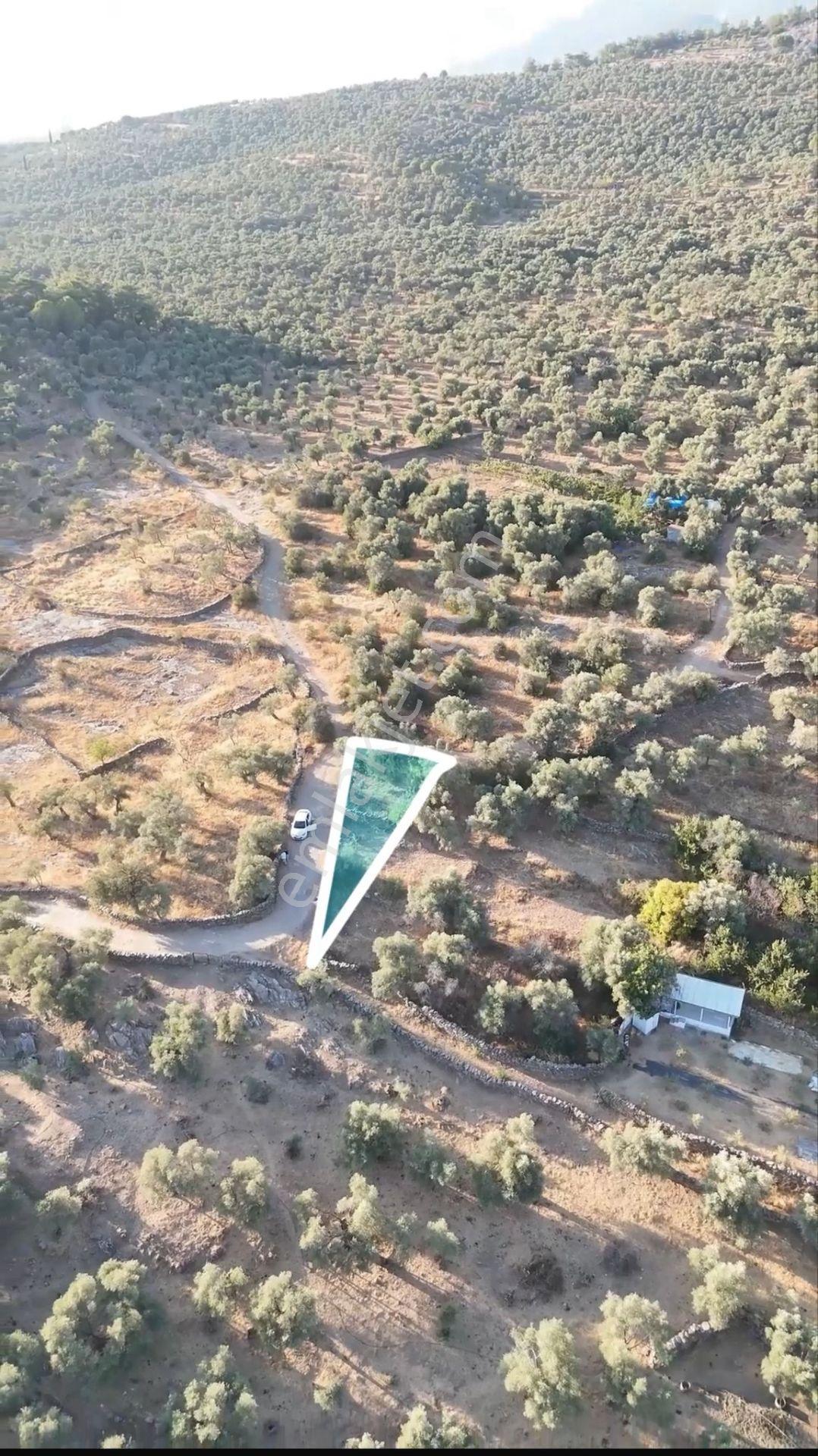 Doğanın Kalbinde Şenköyde Resmi Yollu Efsane Hobi Bahçesi - Görsel 4