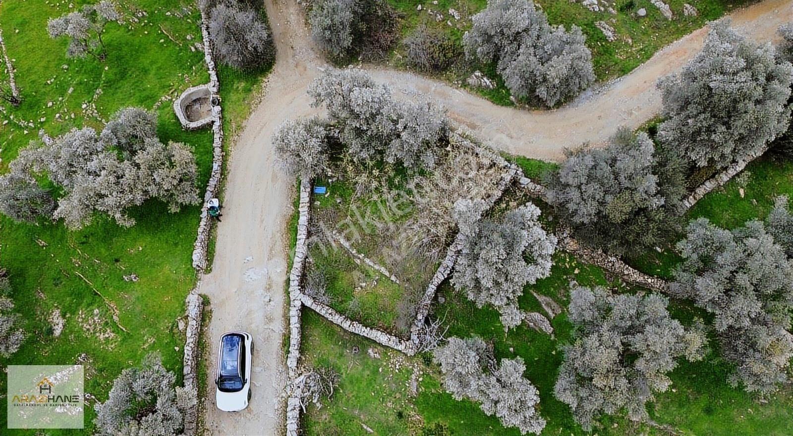 Doğanın Kalbinde Şenköyde Resmi Yollu Efsane Hobi Bahçesi - Görsel 12