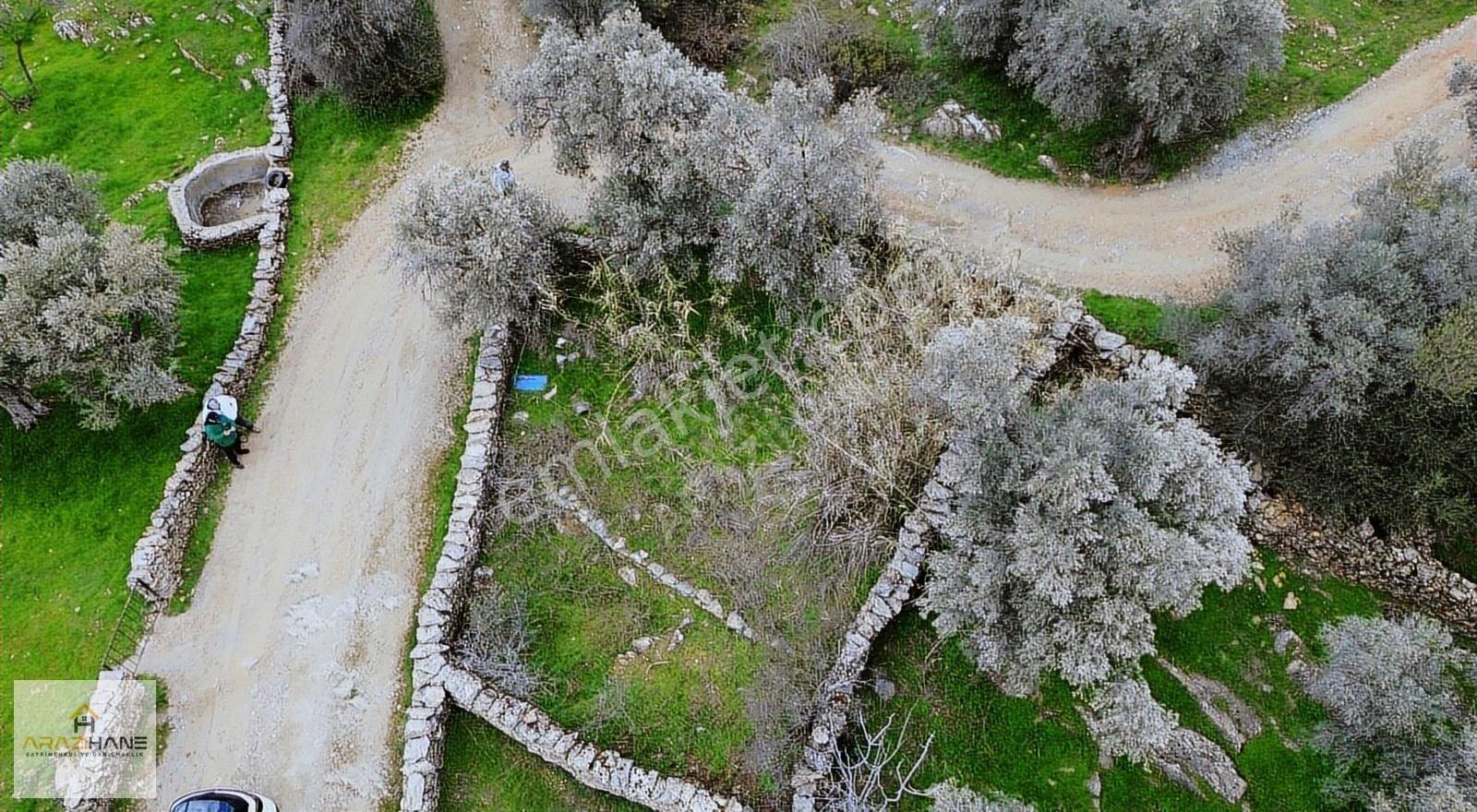 Doğanın Kalbinde Şenköyde Resmi Yollu Efsane Hobi Bahçesi - Görsel 8