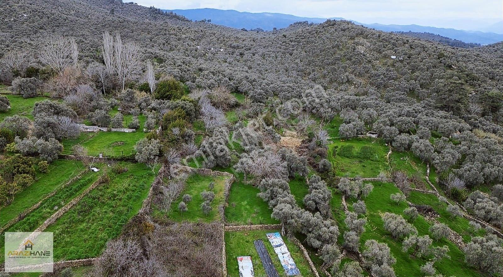Doğanın Kalbinde Şenköyde Resmi Yollu Efsane Hobi Bahçesi - Görsel 10