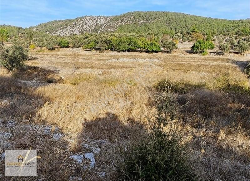 Milas Çamköy Çıkışı Gökbelde Resmi Yollu Çeşme Dibi Tarla - Görsel 17