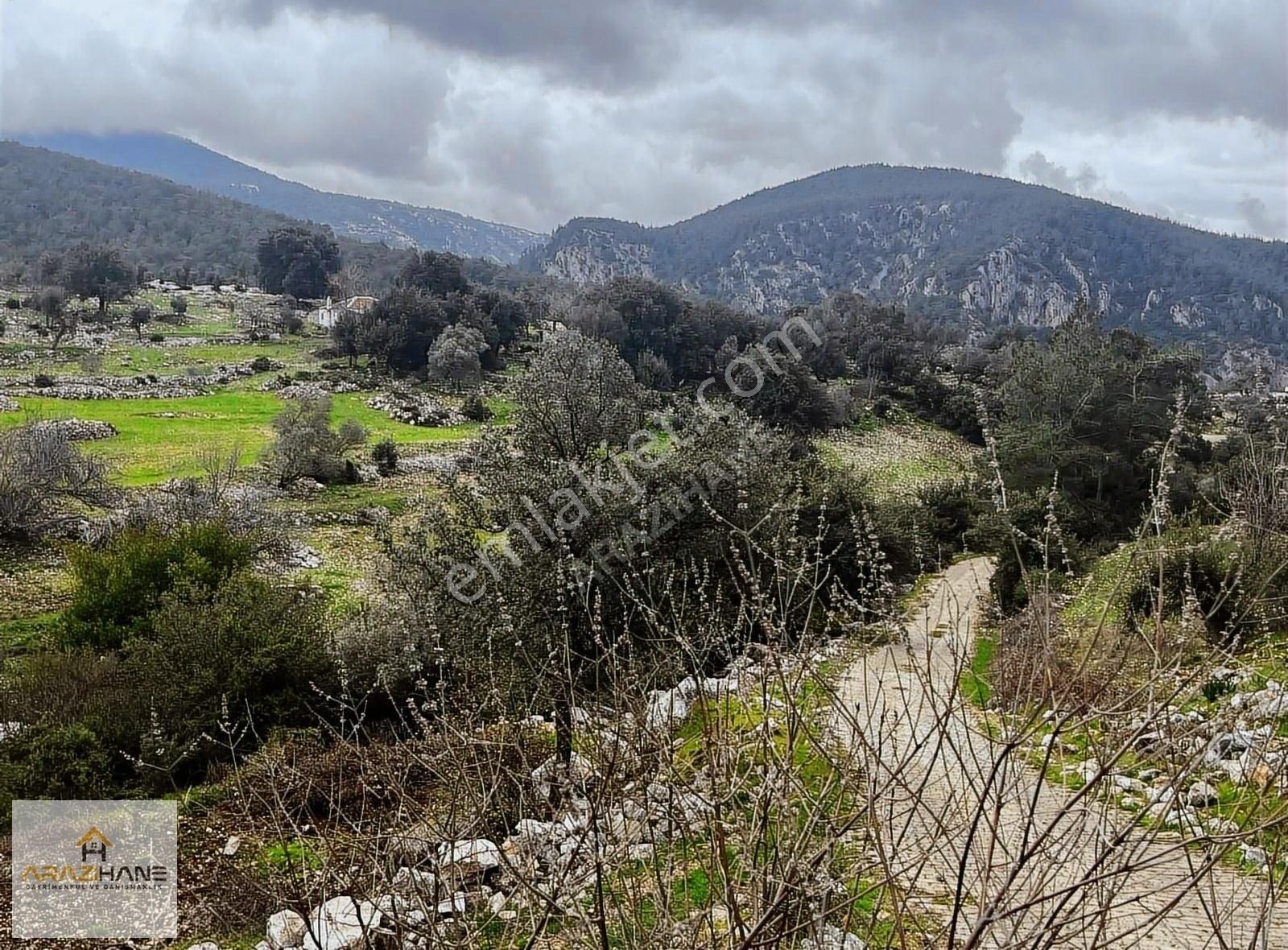 Milas Çamköy Çıkışı Gökbelde Resmi Yollu Çeşme Dibi Tarla - Görsel 14