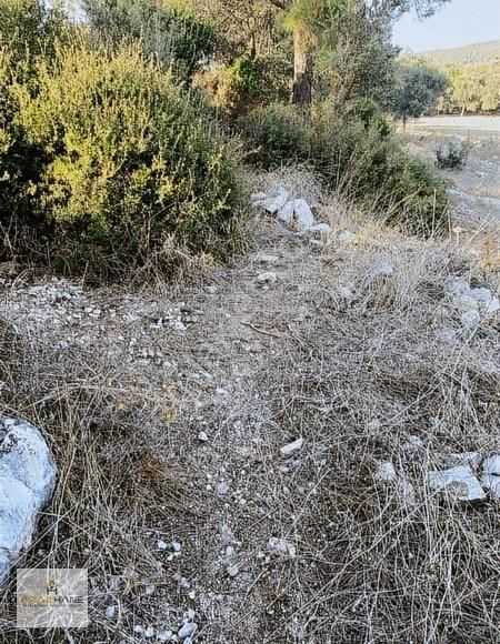 Milas Çamköy Çıkışı Gökbelde Resmi Yollu Çeşme Dibi Tarla - Görsel 3