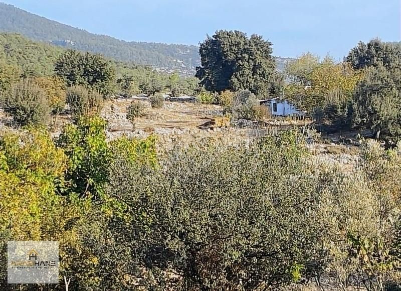 Milas Çamköy Çıkışı Gökbelde Resmi Yollu Çeşme Dibi Tarla - Görsel 8