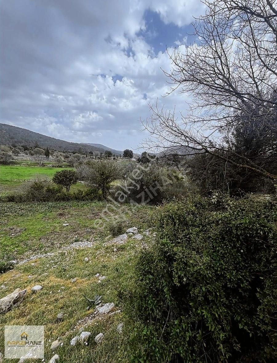 Milas Çamköy Çıkışı Gökbelde Resmi Yollu Çeşme Dibi Tarla - Görsel 2