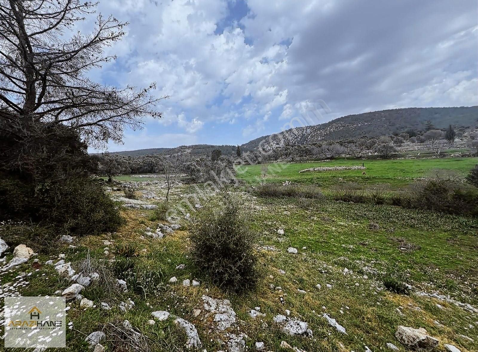Milas Çamköy Çıkışı Gökbelde Resmi Yollu Çeşme Dibi Tarla - Görsel 15