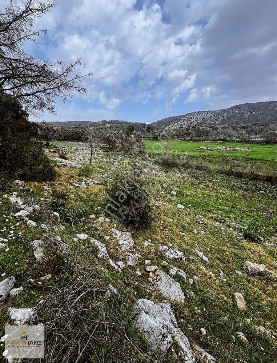Milas Çamköy Çıkışı Gökbelde Resmi Yollu Çeşme Dibi Tarla - Görsel 9