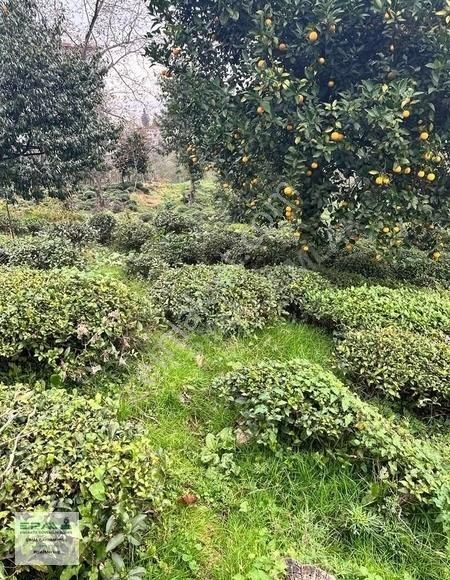 Şimal Emlak'tan Merkez Çamlıbel Mahallesinde İmarlı Arsa