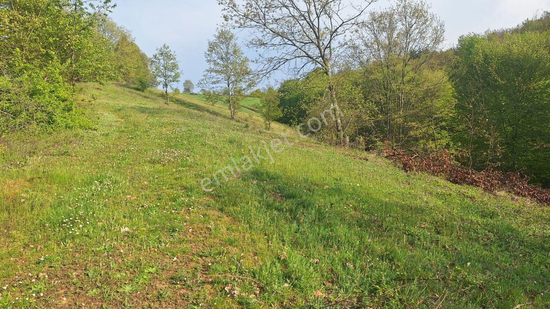 Tek İşim Gayrimenkul'den | İnegöl Tekkeköyde Satılık 1.638 M² - Görsel 13