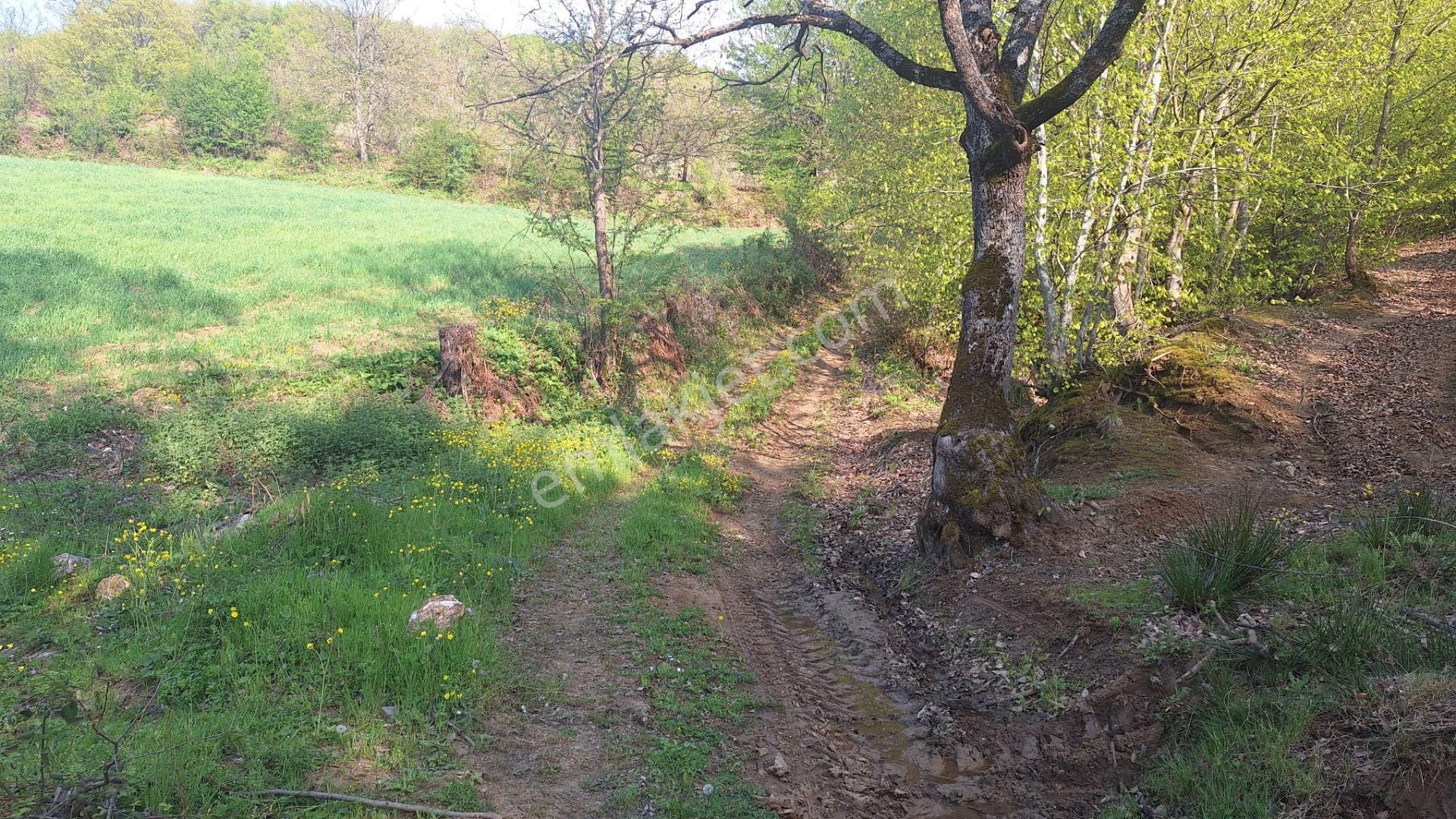 Tek İşim Gayrimenkul'den | İnegöl Tekkeköyde Satılık 1.638 M² - Görsel 11