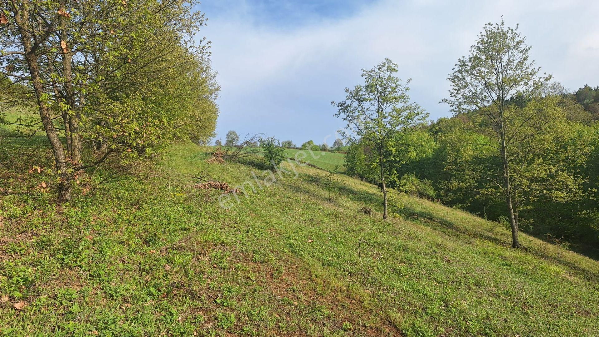 Tek İşim Gayrimenkul'den | İnegöl Tekkeköyde Satılık 1.638 M² - Görsel 9