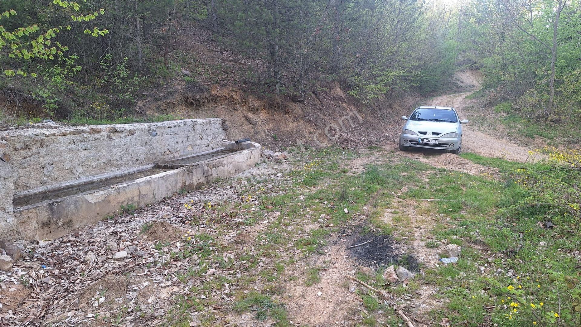 Tek İşim Gayrimenkul'den | İnegöl Tekkeköyde Satılık 1.638 M² - Görsel 5