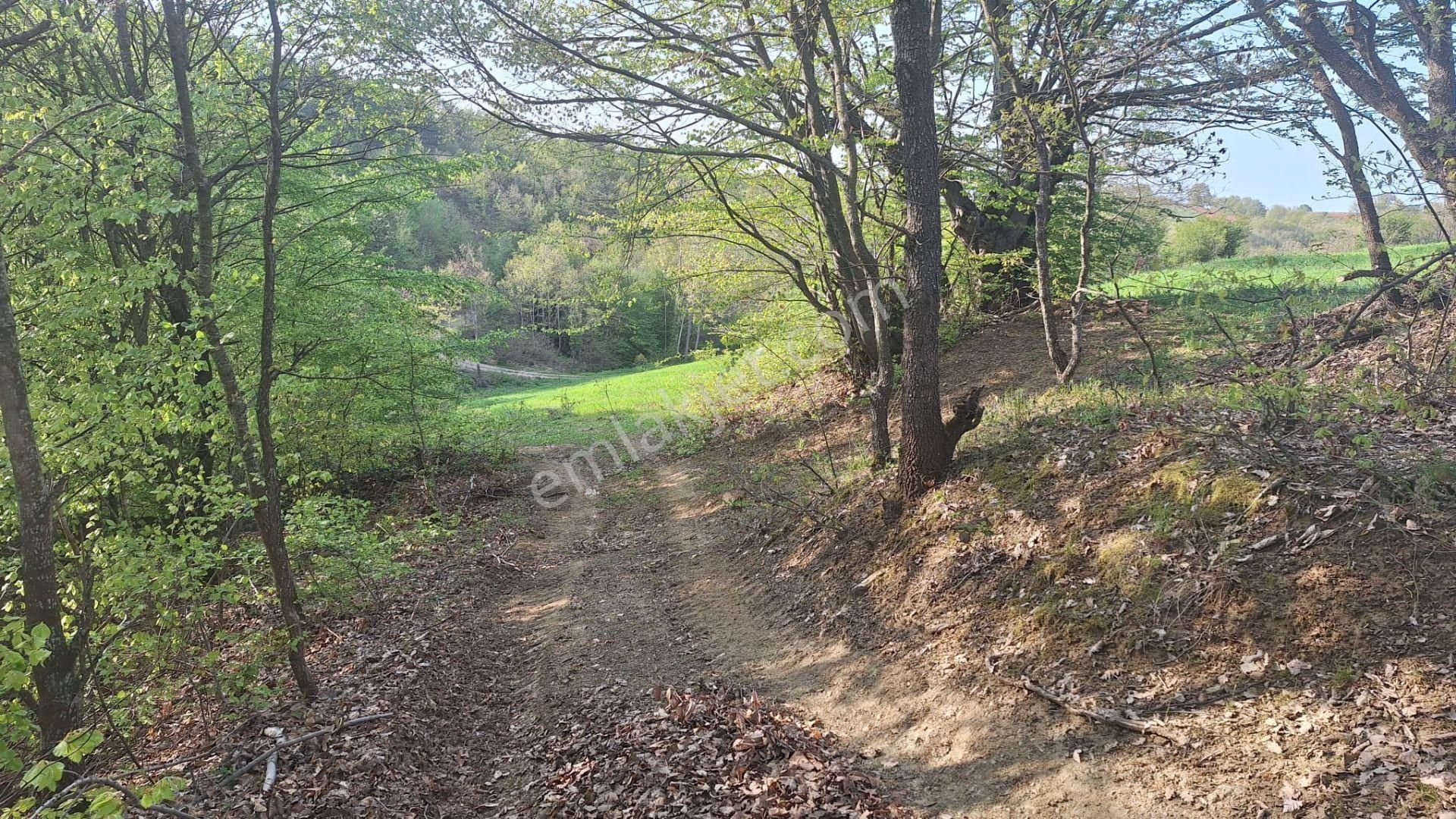 Tek İşim Gayrimenkul'den | İnegöl Tekkeköyde Satılık 1.638 M² - Görsel 4