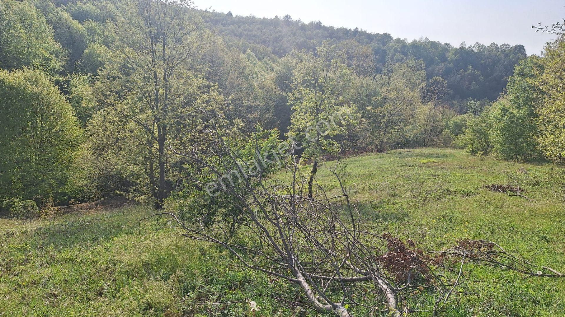 Tek İşim Gayrimenkul'den | İnegöl Tekkeköyde Satılık 1.638 M² - Görsel 3