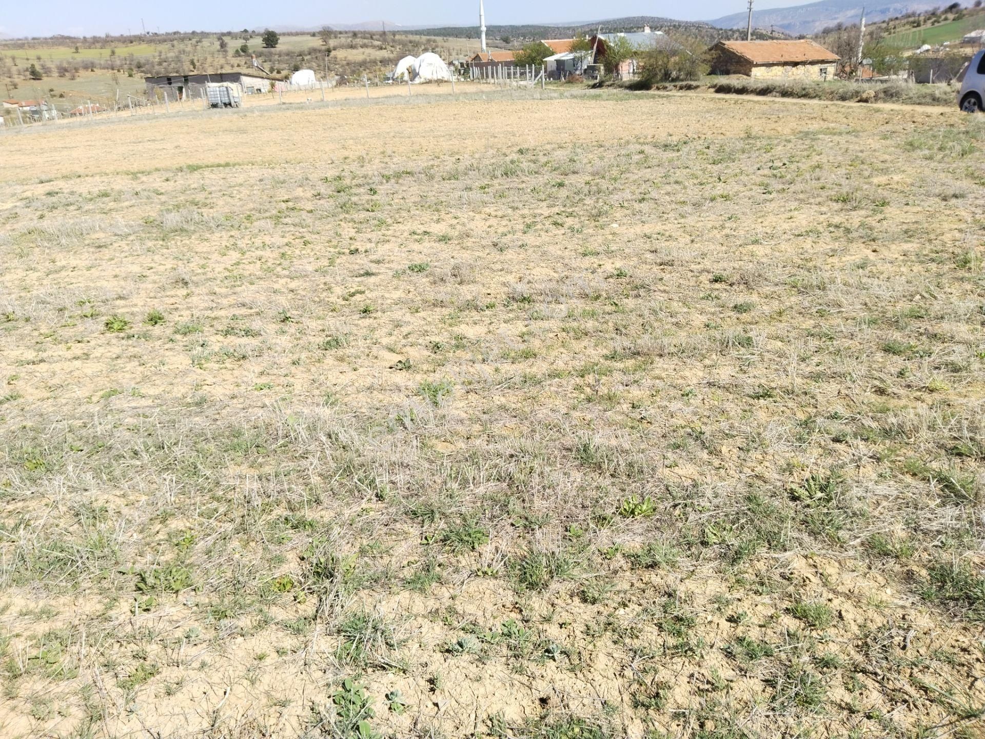 Konya Güneysınır Habiller Köyünde 3.619 M² Tarlamız Satılıktır.