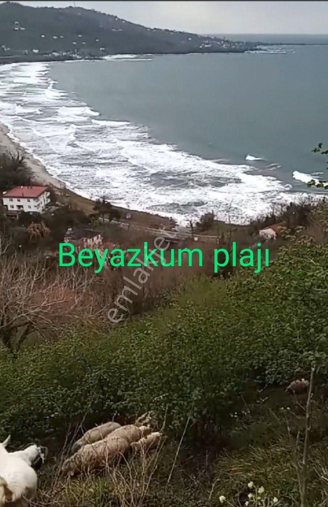 Perşembe Ramazan Mahallesi İmarlı Bahçe