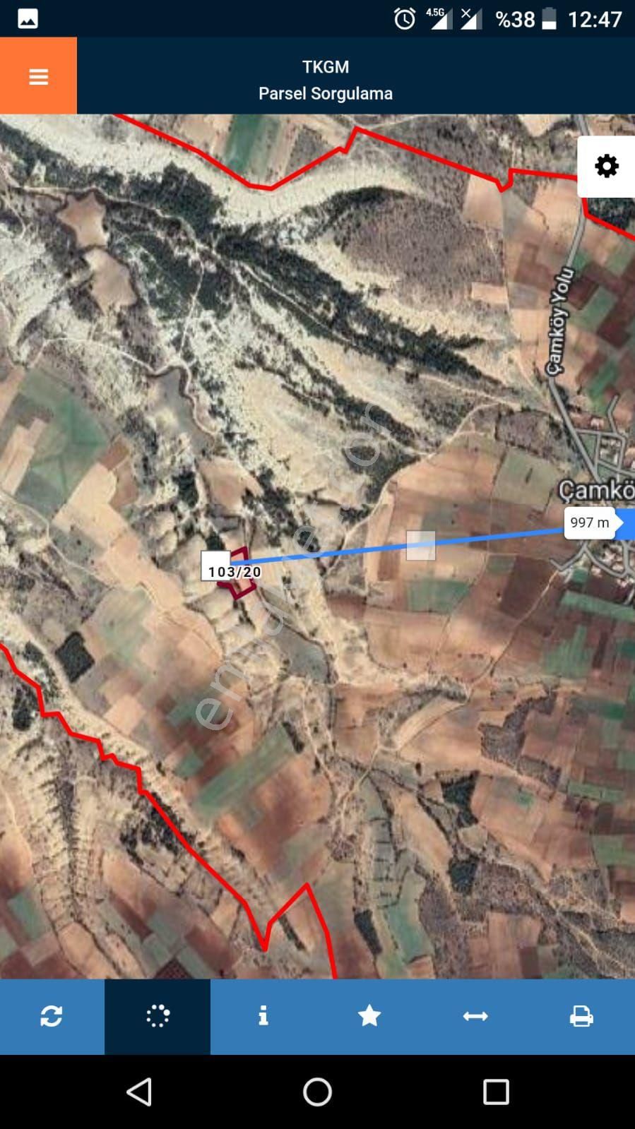 Denizli Bekilli Çamköy 6769 Metrekare Bağ Kadastro Yolu Var - Görsel 4