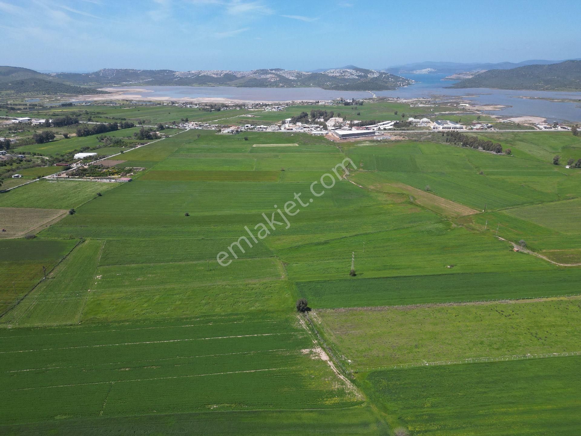 Dörttepe'de Yatırım Değeri Yüksek Satılık Tarla - Görsel 7