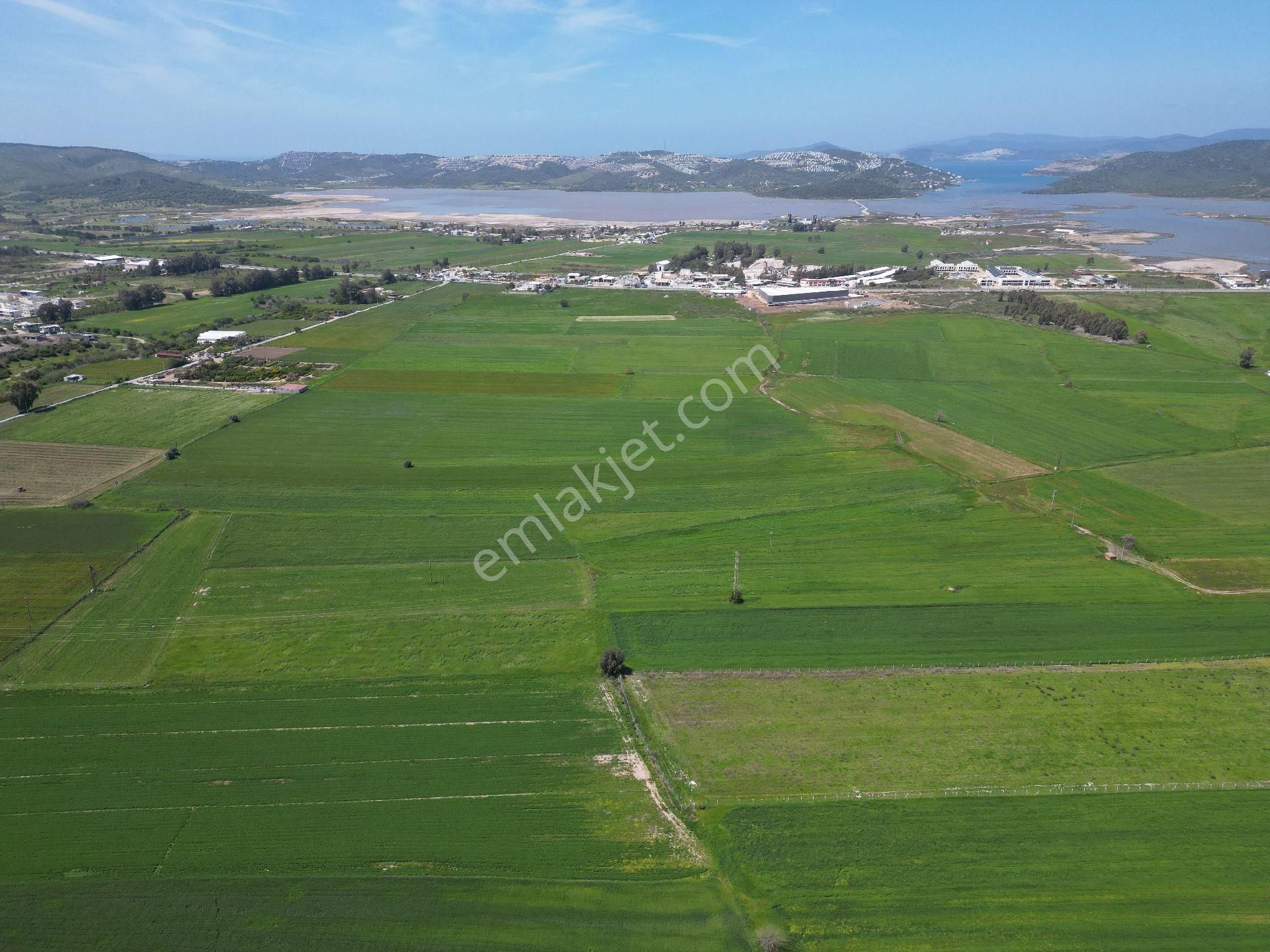 Dörttepe'de Yatırım Değeri Yüksek Satılık Tarla - Görsel 2
