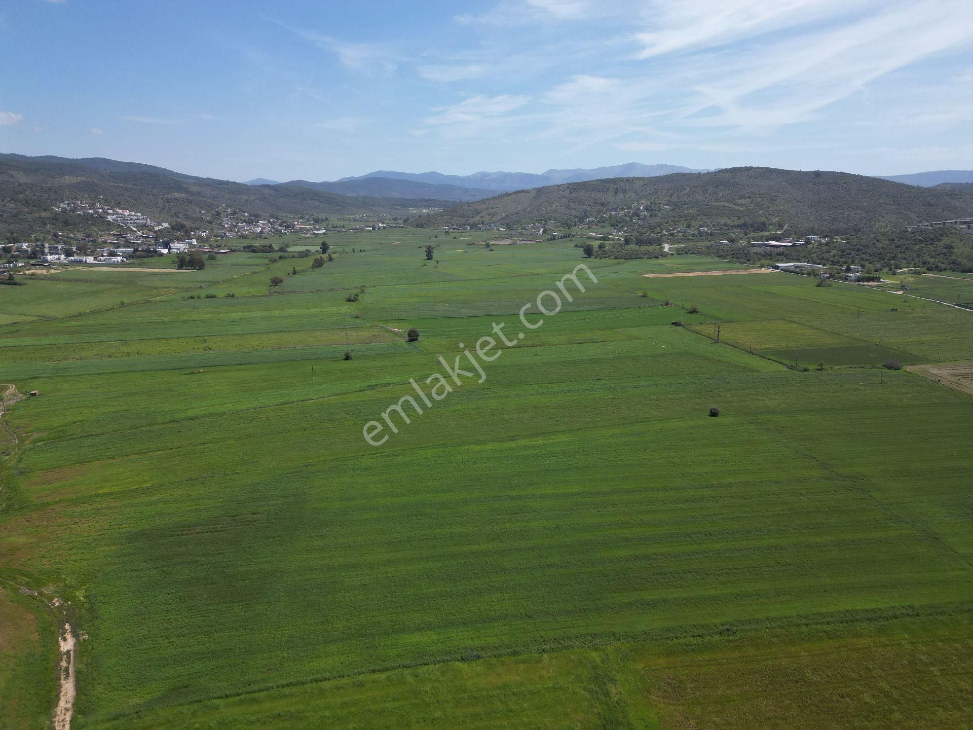 Dörttepe'de Yatırım Değeri Yüksek Satılık Tarla - Görsel 4