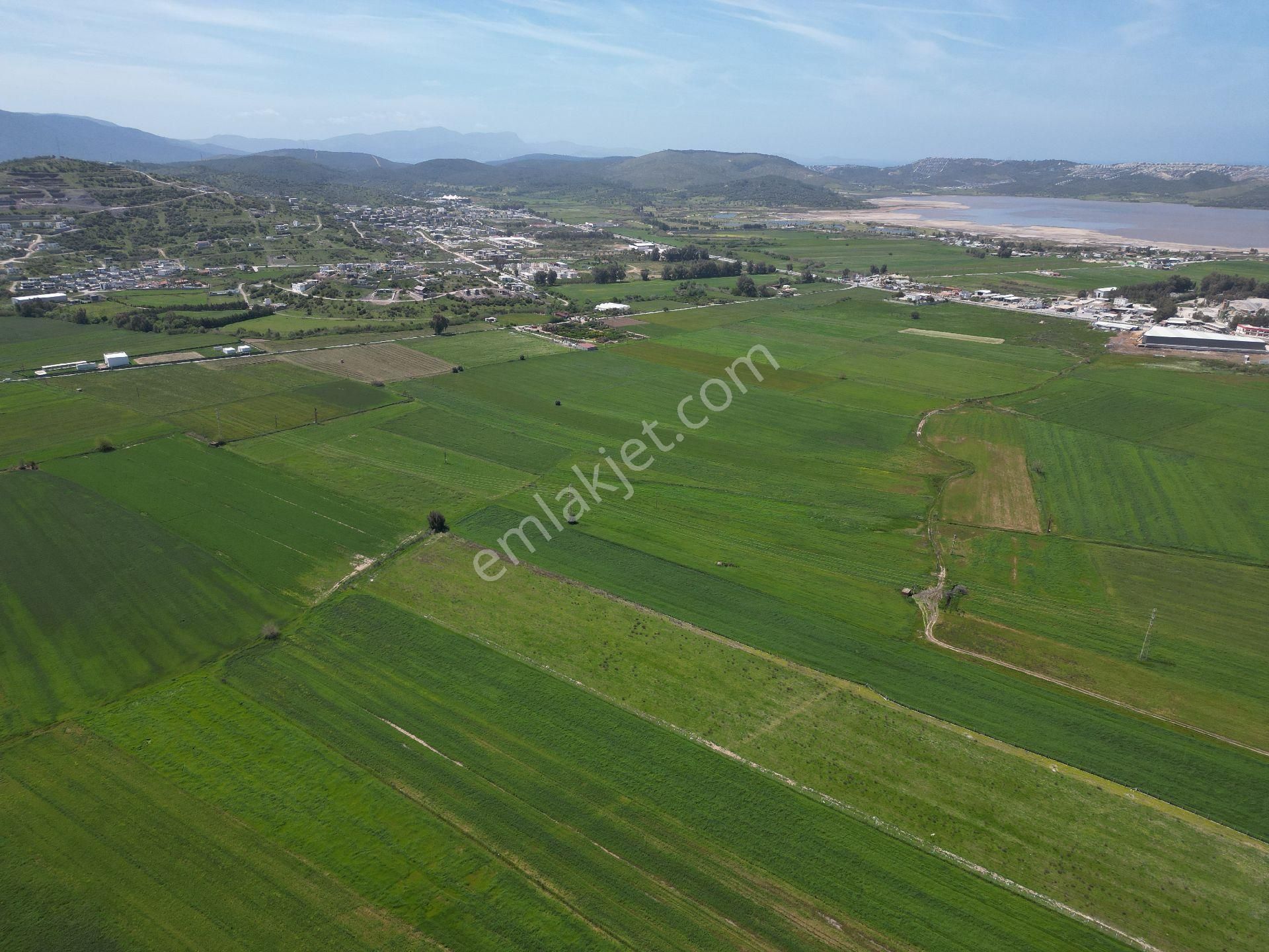 Dörttepe'de Yatırım Değeri Yüksek Satılık Tarla - Görsel 3