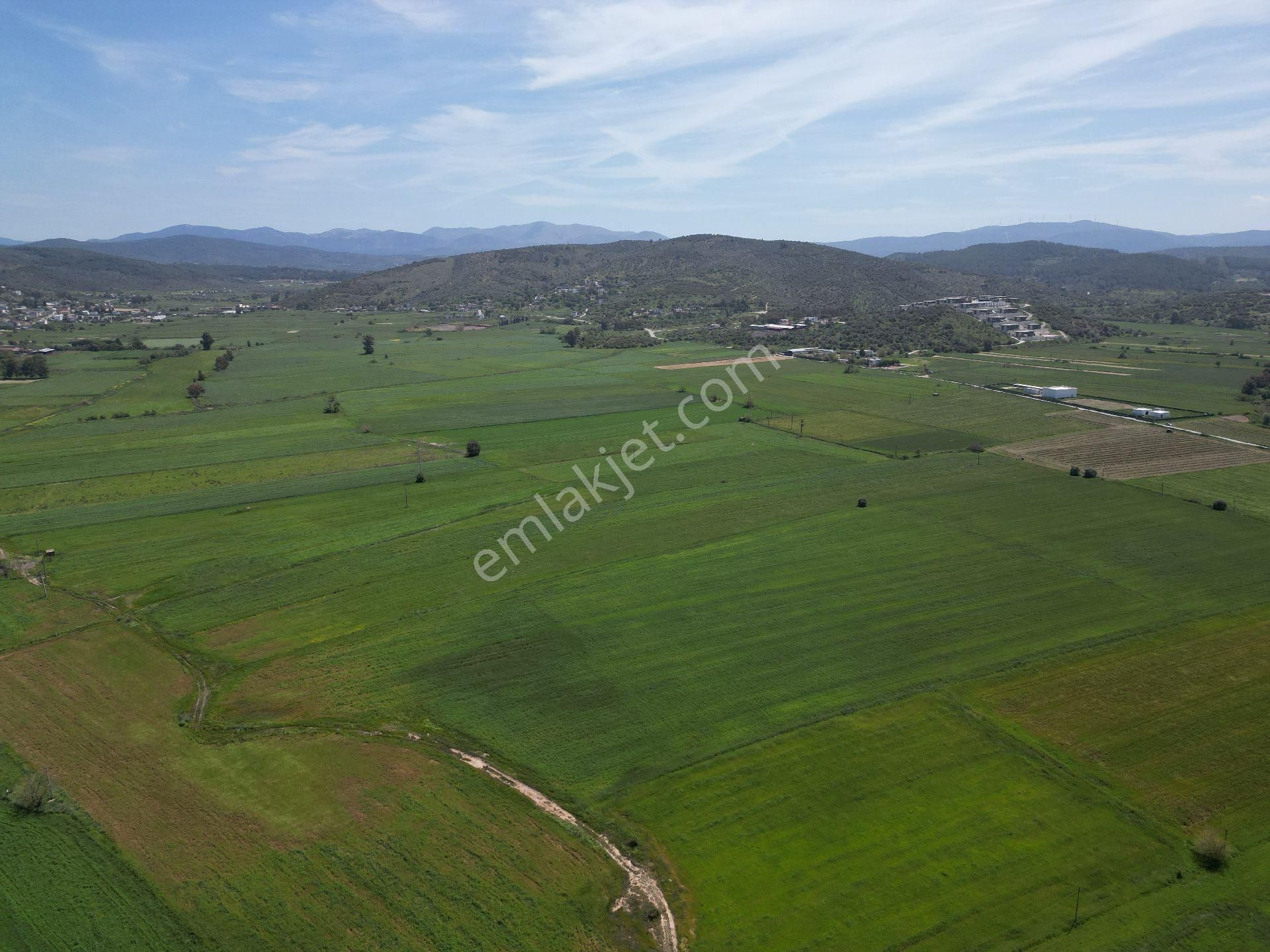 Dörttepe'de Yatırım Değeri Yüksek Satılık Tarla - Görsel 5