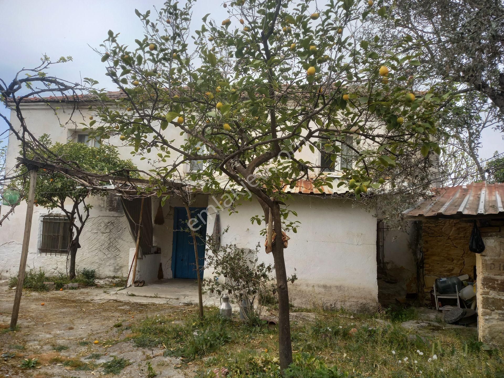 Aydın Yenıpazar Hamzabalı Mahallesinde Köy Evı Müstakil