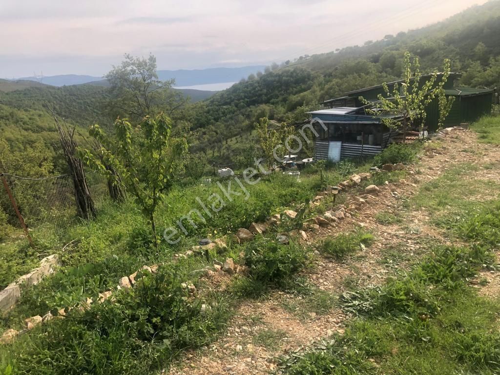 İznik Gürmüzlü Mahallesi Resmi Yola Cephe Göl Manzaralı Bahçe