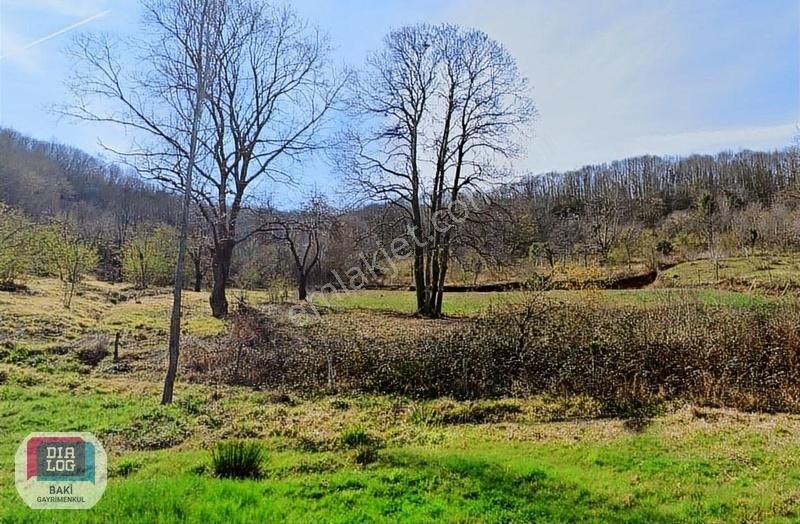 Paşamandıra | Güzel Konumlu 2.278 M2 Yatırımlık Müstakil Parsel
