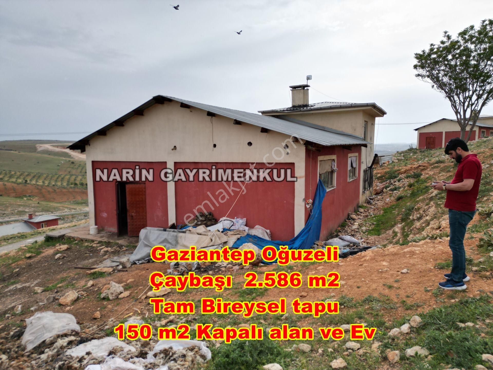 Oğuzeli Çaybaşı Mah. 2.586 M2 Ahır Yeri. Kapalı Alan Ve Ev Var - Görsel 2