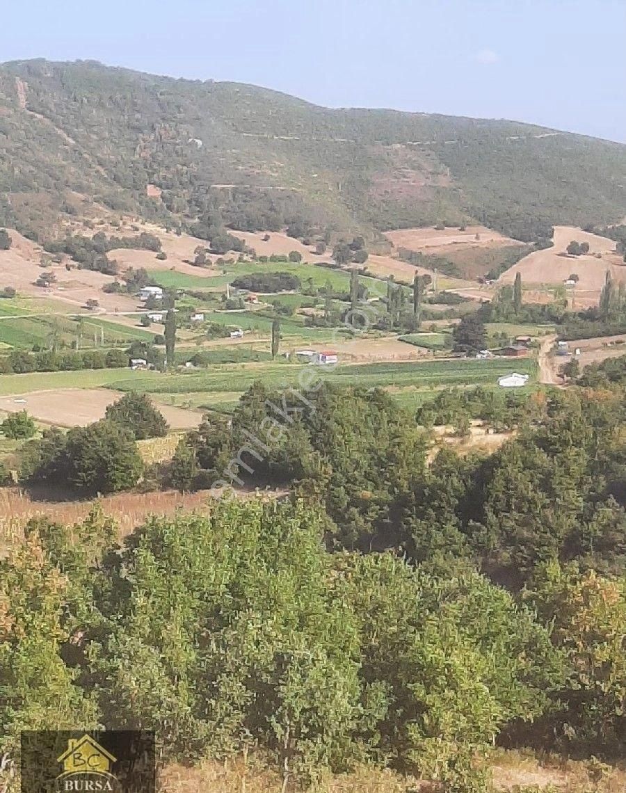 Bursa Yenişehir Burcun Köyün De 3350 M2 Yatırımlık Arazi - Görsel 5