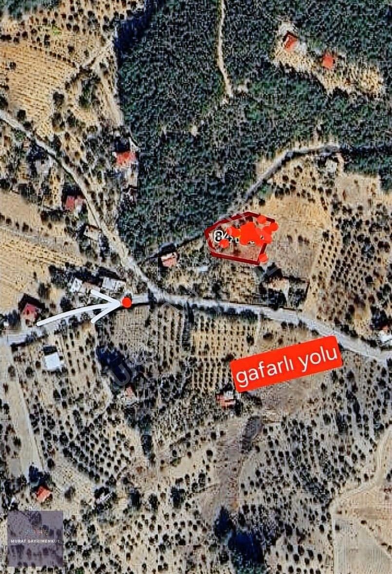 Murat Gayrimenkul Den Satılık Doğanın İçerisinde İmarlı Arsa.