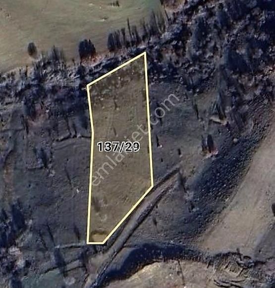 Elmadağ Karacahasan Mahallesinde Satılık Tek Tapulu 4220m2 Arsa