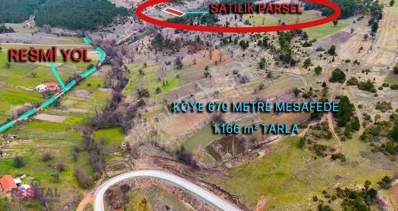 Satılık Tarla - Kütahya Tavşanlı Üyükcek Köyü