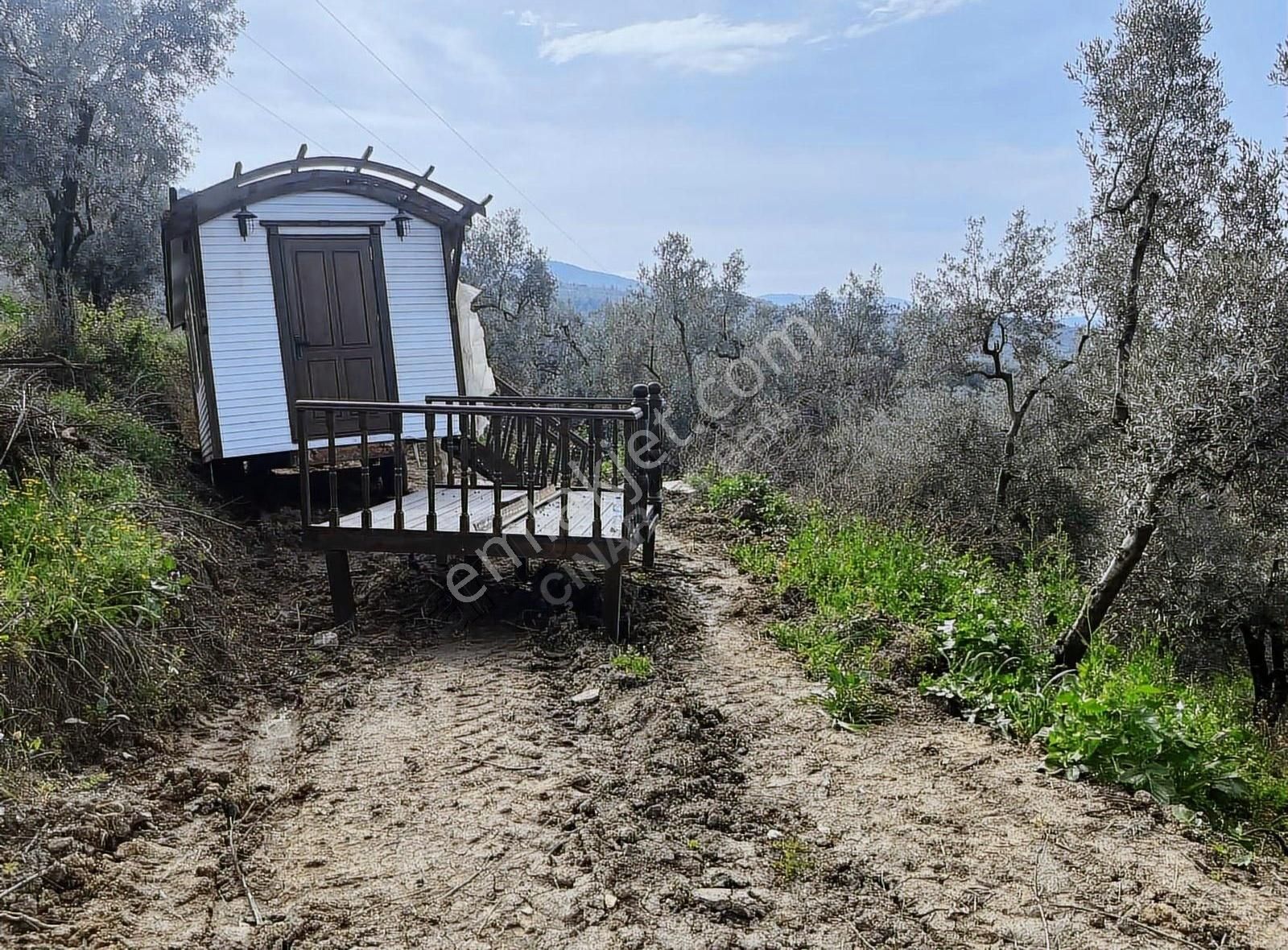 Acill! Eşsiz Göl Manzaralı Tiny Houslu Araç Takaslı Zeytinlik