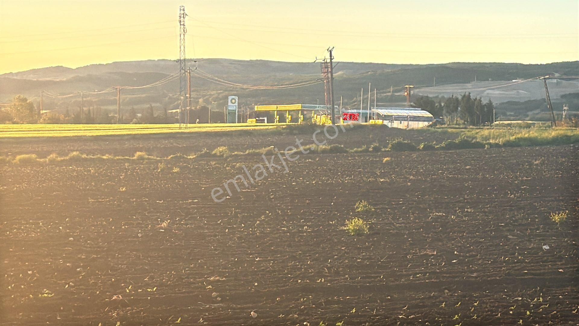 Kırklareli Vize Okçular Satılık 7800m² Tek Tapu Tarla