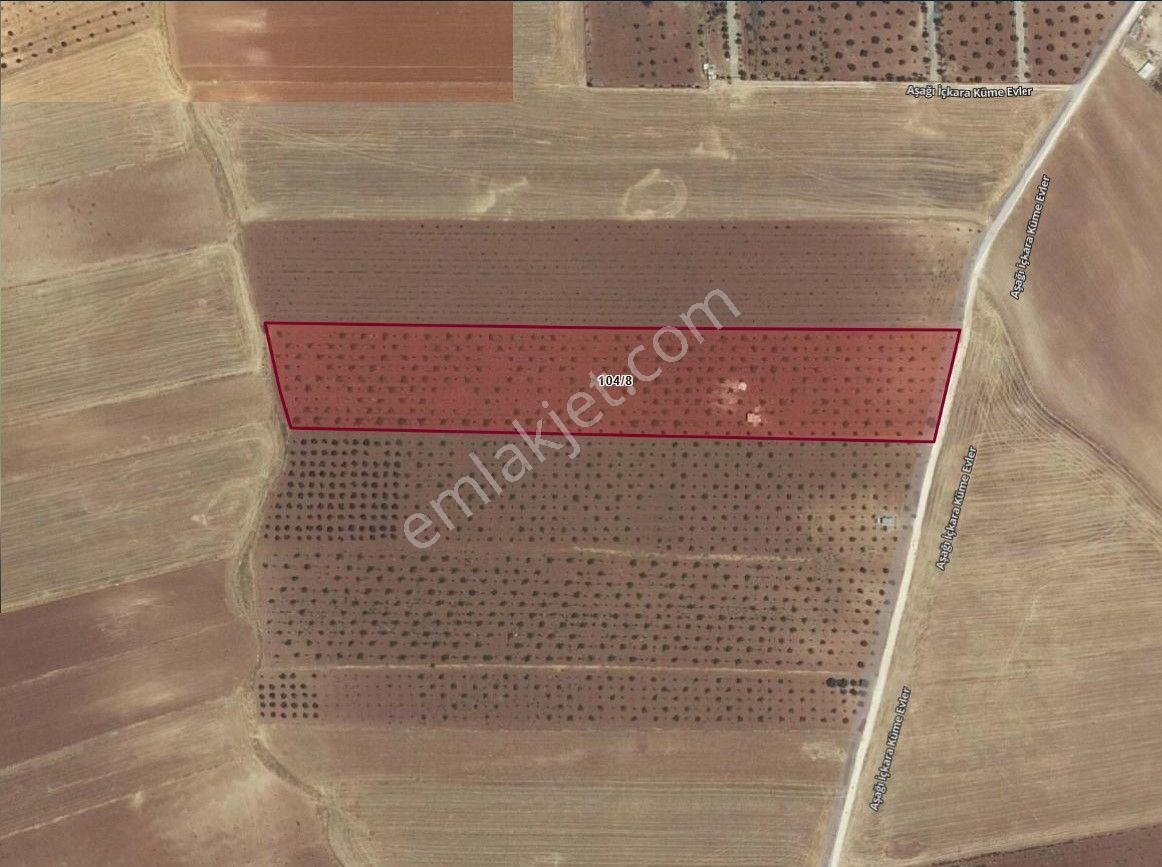 Yaşarsoy Gyo'dan Aşağı İçkara'da 15 Yaşında Fıstık&üzüm Bahçesi