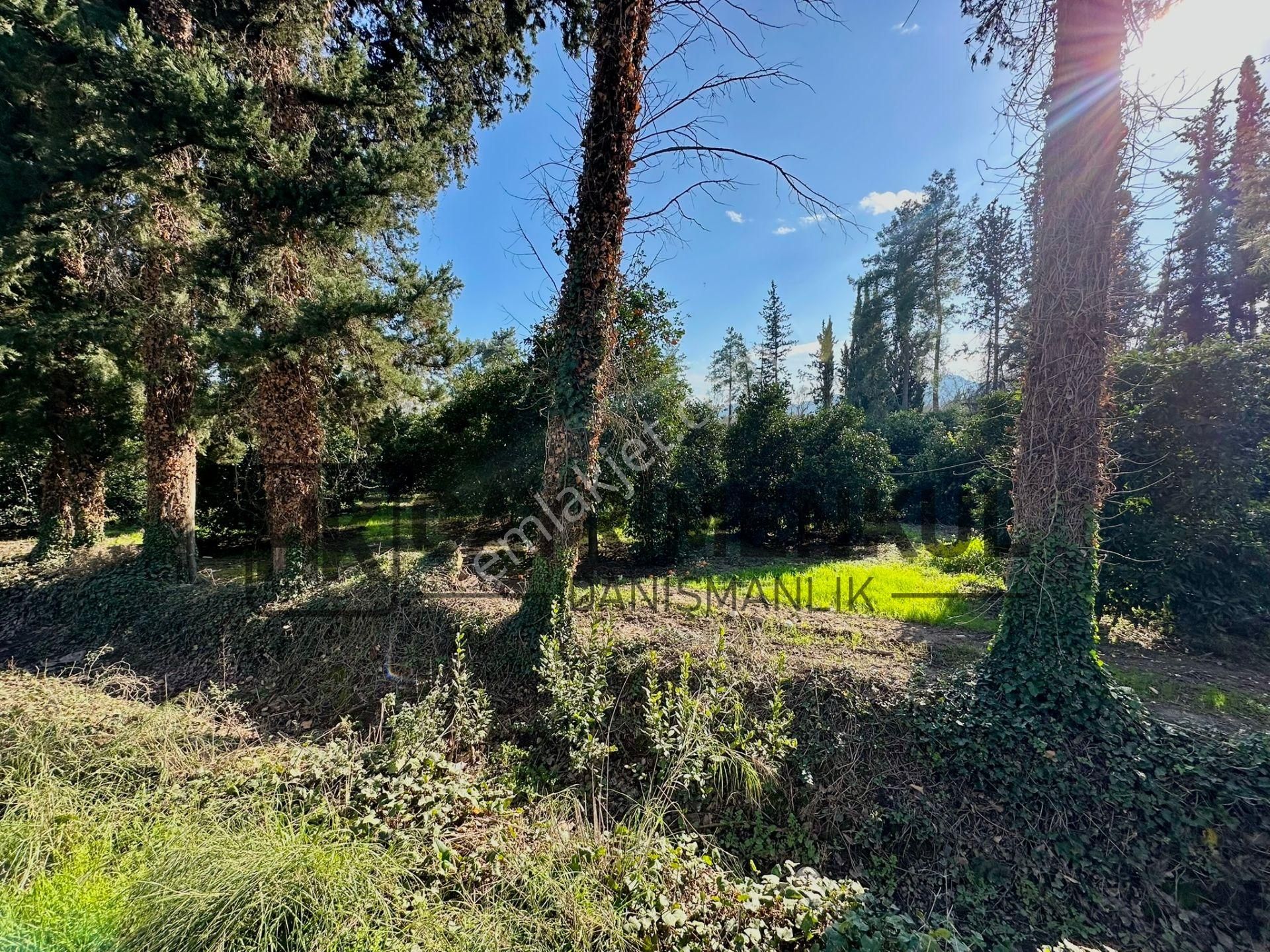 Bahtılı'da 10 Dönüm Kiralık Bungalov Ev Yapımına Uygun Arsa - Görsel 8