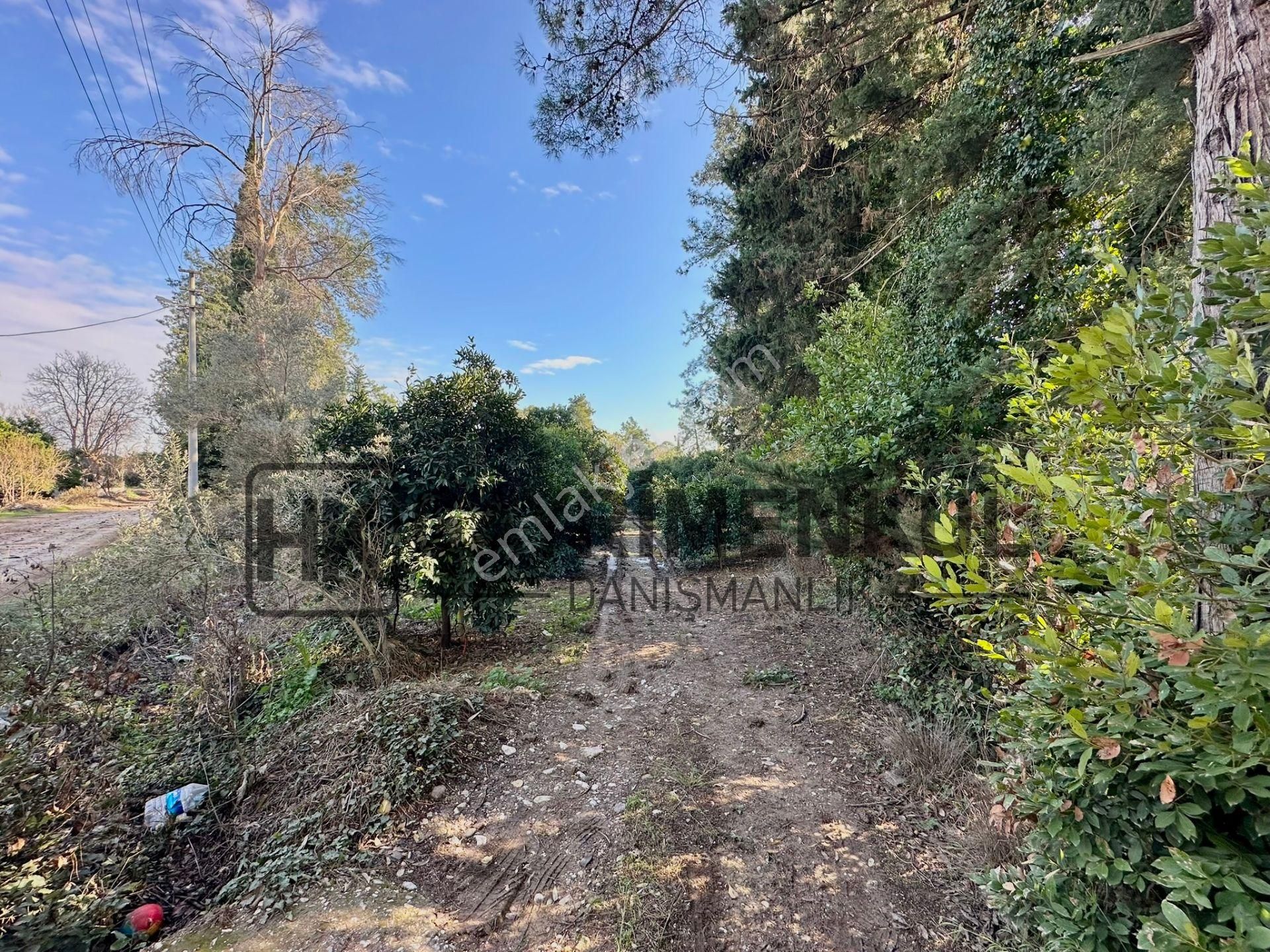 Bahtılı'da 10 Dönüm Kiralık Bungalov Ev Yapımına Uygun Arsa - Görsel 6