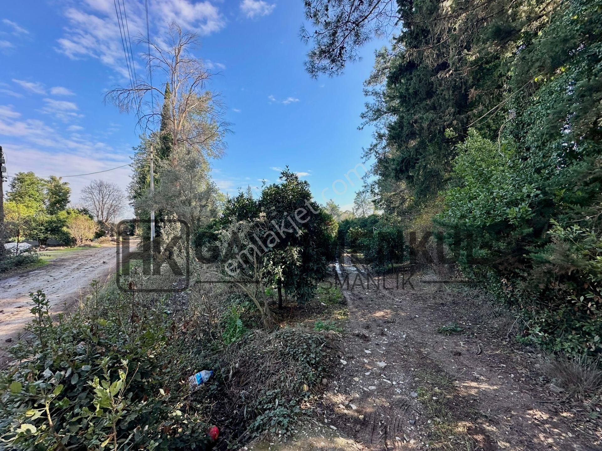 Bahtılı'da 10 Dönüm Kiralık Bungalov Ev Yapımına Uygun Arsa - Görsel 2