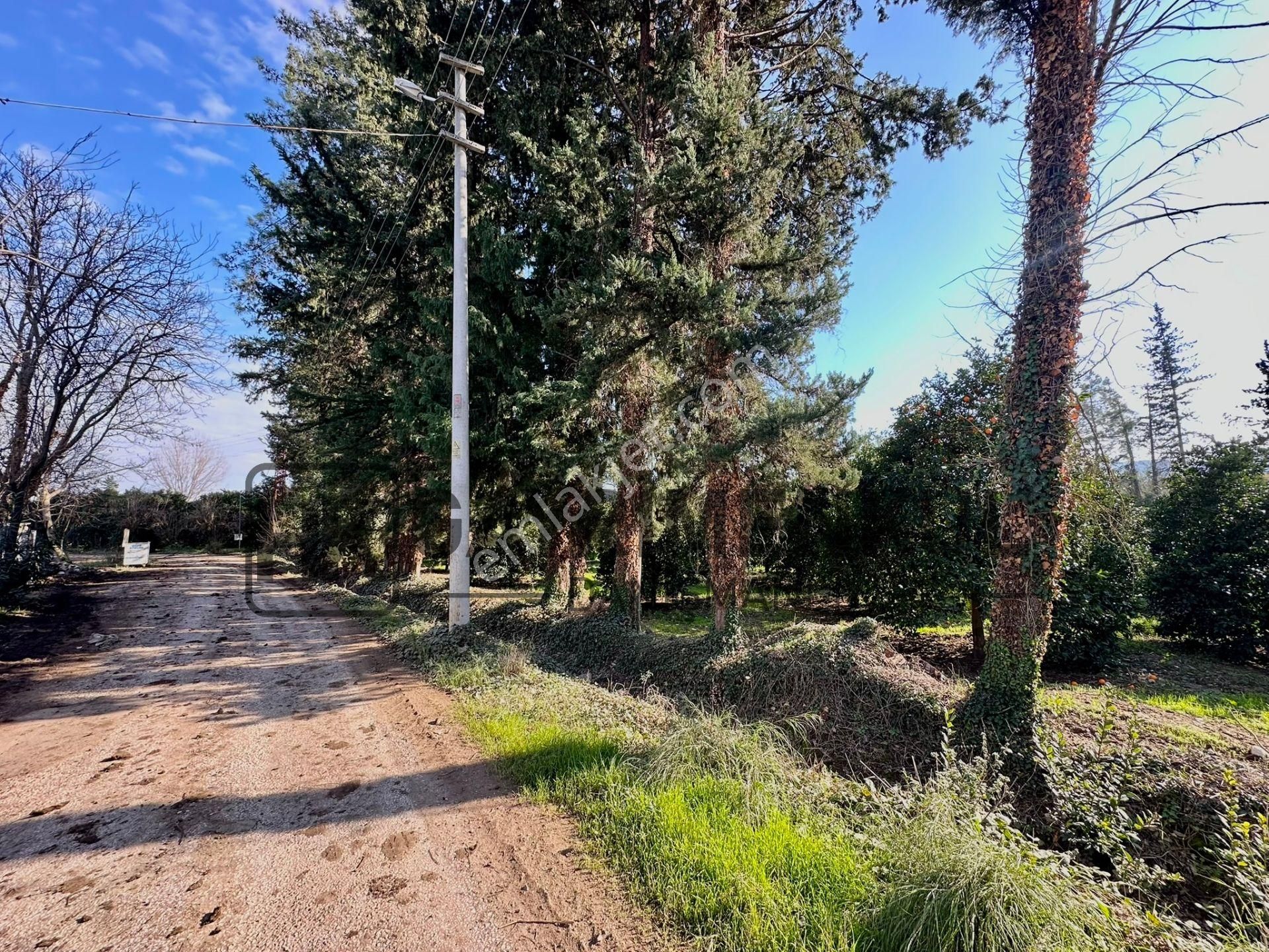 Bahtılı'da 10 Dönüm Kiralık Bungalov Ev Yapımına Uygun Arsa - Görsel 11