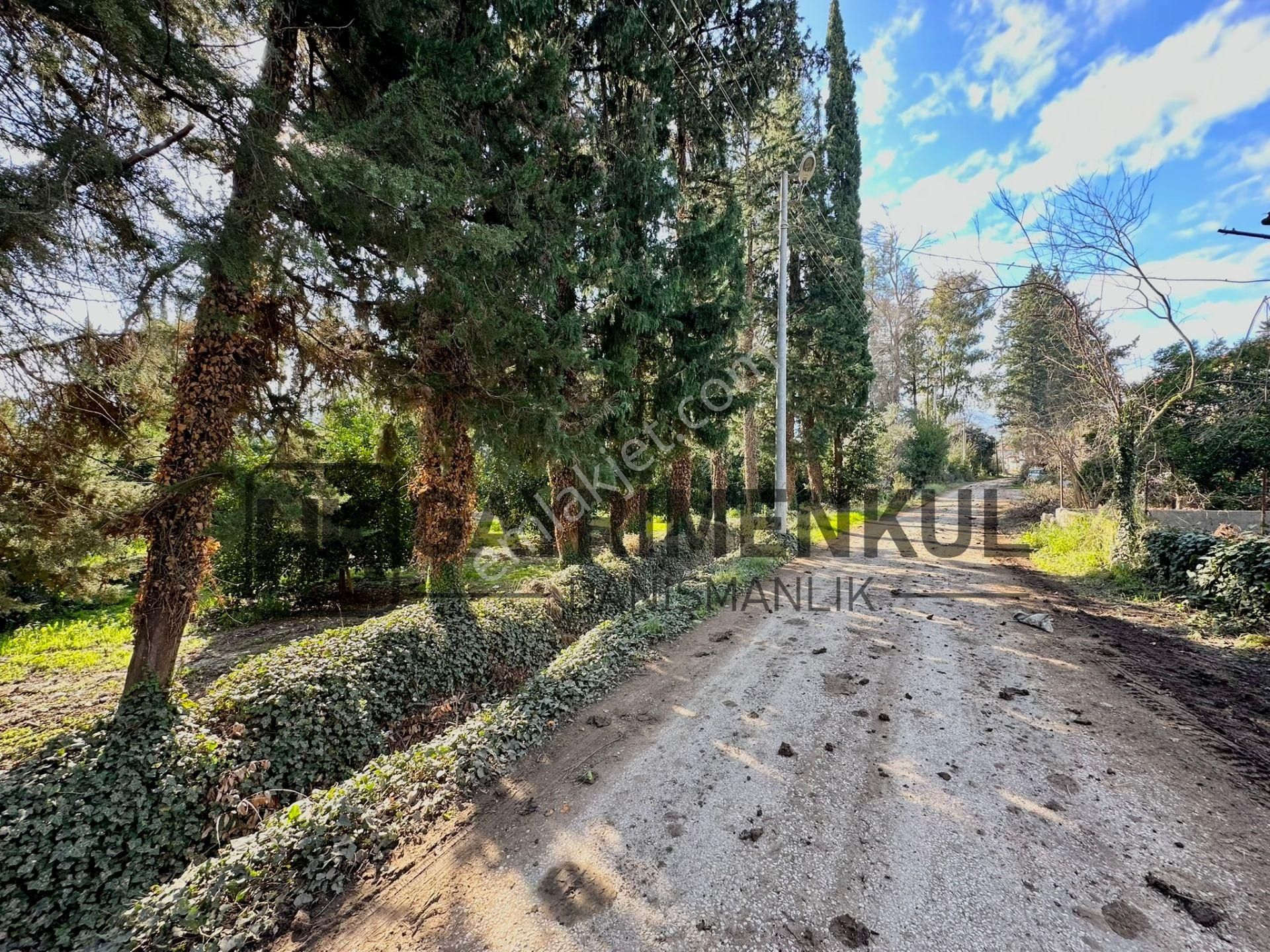 Bahtılı'da 10 Dönüm Kiralık Bungalov Ev Yapımına Uygun Arsa - Görsel 9